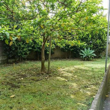ゲストハウス Casa Da Tia Adilia 3*