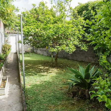Casa Da Tia Adilia 3*