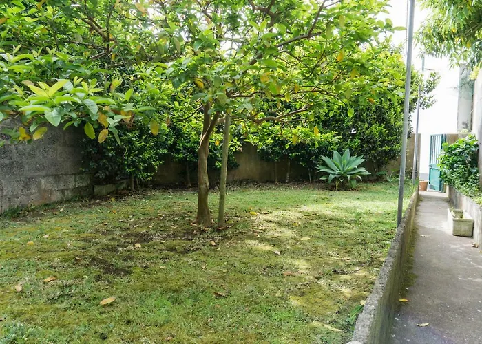 招待所 Casa Da Tia Adilia 3*